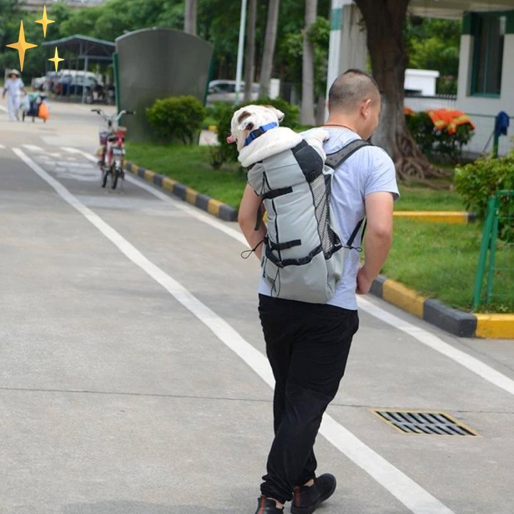 DoggiePack Le Sac à Dos pour Chien | La Meilleure façon de Transporter votre Animal de Compagnie Adoré