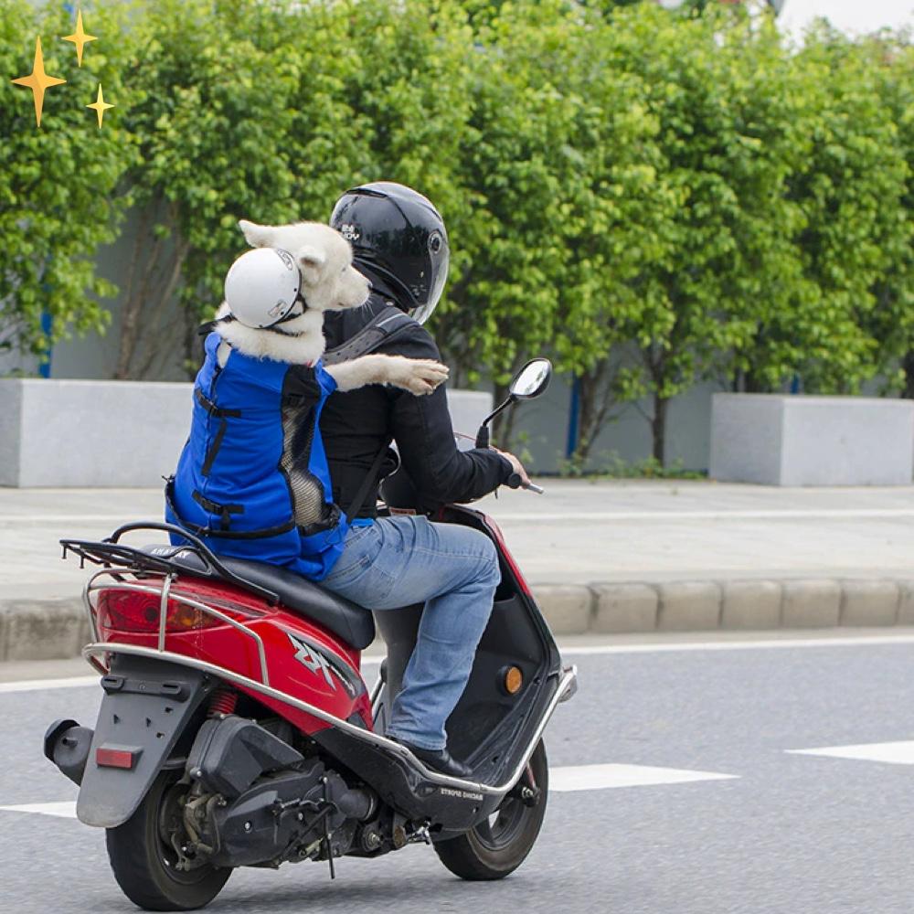 DoggiePack Le Sac à Dos pour Chien | La Meilleure façon de Transporter votre Animal de Compagnie Adoré